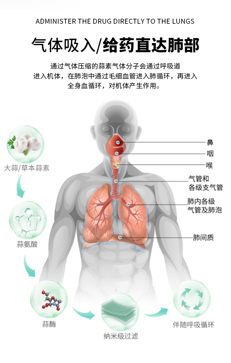 蒜素呼吸治疗仪